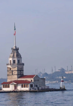 Marka Tescili Coğrafi İşaret Koruması